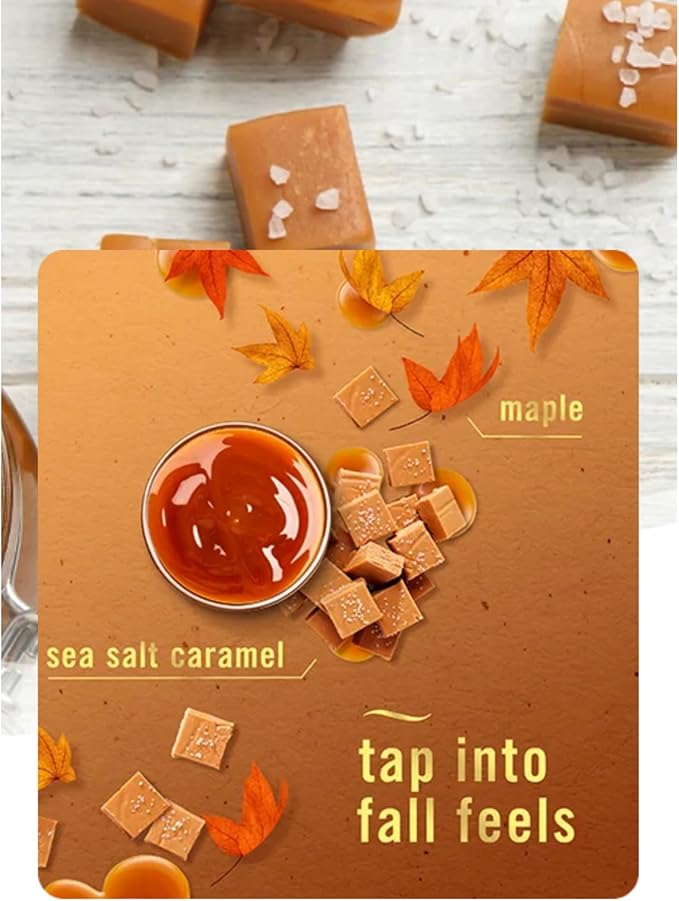 Febreeze Plug In Refills Fall Scents Winter Limited Edition Plug In Refills for Odor-Fighting Fade Defy PLUG Air Freshener 2 pack (Sea Salt Caramel)