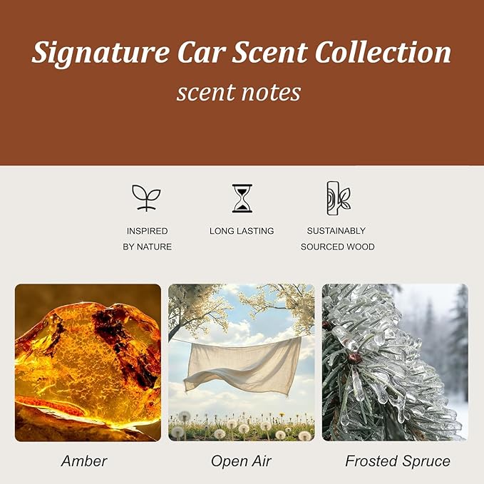 Car Air Freshener Starter Kit- Stone Air Freshener Car Odor Eliminator - Long Lasting Scent - Auto Accessories - Metal Clip (Amber-Frosted Spruce-Open Air)