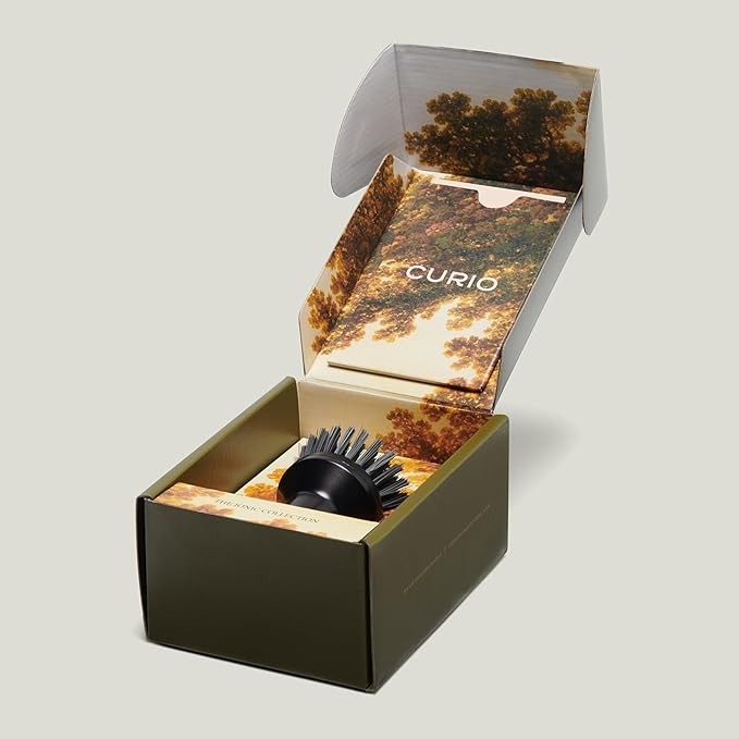 Ionic Palm Brush Magnetized to Stand Upright Stainless Steel with Replaceable Head Onyx/Black