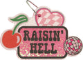 Simply Southern Air Fresheners - Great for Car Closet Bathroom Small Spaces - Decorative Hanging Scents (Raisin Cherry Blossom)