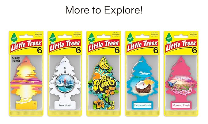 LITTLE TREES Car Air Freshener | Hanging Tree Provides Long Lasting Scent for Auto and Home | 24 Air Fresheners |Bayside Breeze