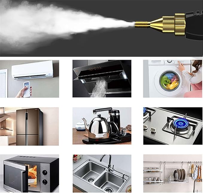 High Pressure Steam Cleaner 2500W Handheld High Temp Fast Heating Portable Cleaning Machine for Home Use Grout Tile Car Detailing Kitchen Bathroom with 3 Brush Heads