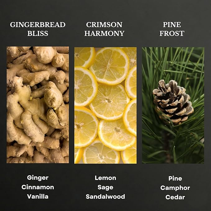 Scentia Cozy Pine Gingerbread Fragrance Oil Collection – Long Lasting Aromatherapy Diffuser Oil for Candles Home &amp DIY Bakery Scents 3x20ml Discovery Set – (Perfect for Winter &amp Holiday)