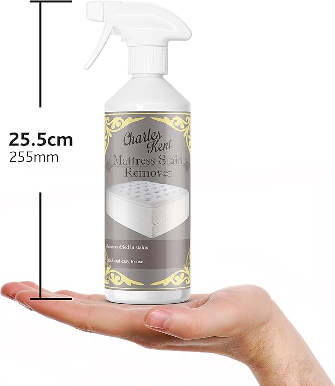 Charles Kent Mattress Stain Remover 500 ml