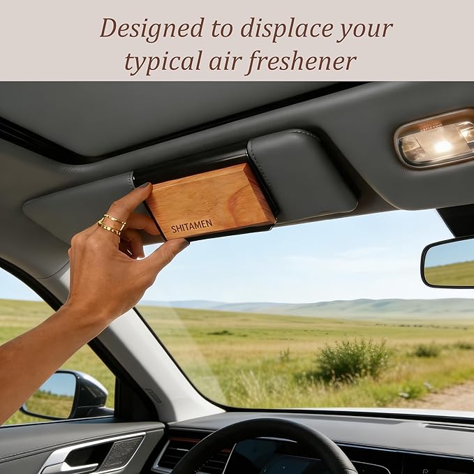 Car Air Freshener Wood Air Freshener Car Odor Eliminator for Visor Clip 4-Pack Variety Scent Refill Long Lasting - CLIP INCLUDED (Teak-Cabana-Ocean-Black Currant Rose)