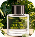 Smart Car Air Fresheners Refill 50ML Made with Natural Plant Extracts Compatible with Various Car Diffuser Refill Universal Perfume Available for 3-5 Months (Fantasy Forest)
