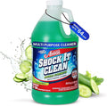 Professor Amos' Shock It Clean 64oz. All Purpose Concentrate Cleaner Make 128 Bottles Cucumber Melon