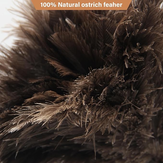 Ostrich Feather Duster Pole 28 to 72 InchExtendable Feather Duster Used for Home Cleaning Ceilings Furniture Fans
