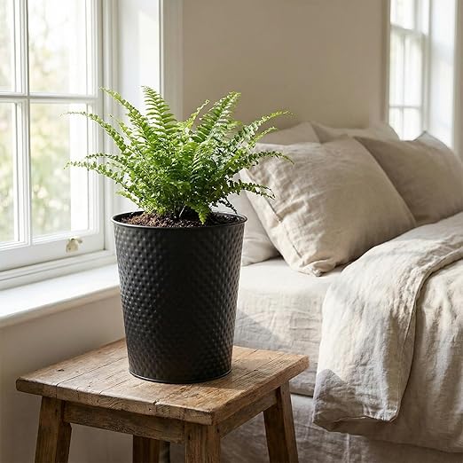 Suclain 2 Pcs Black Copper Trash Can-Handcrafted Hammered Metal Wastebasket Modern Decorative Garbage Can 6 Liters Round Trash Bin for Bathroom Bedroom Kitchen Office