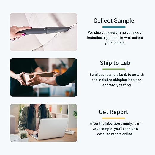 Mold Dust Surface Test by SimpleLab | Mold Test Kit for Home &amp Office | Tests for 36 Types of Mold Fungi Mildew | Air Mold Test Kit and Home Mold Test kit for Home | Indoor Surfaces