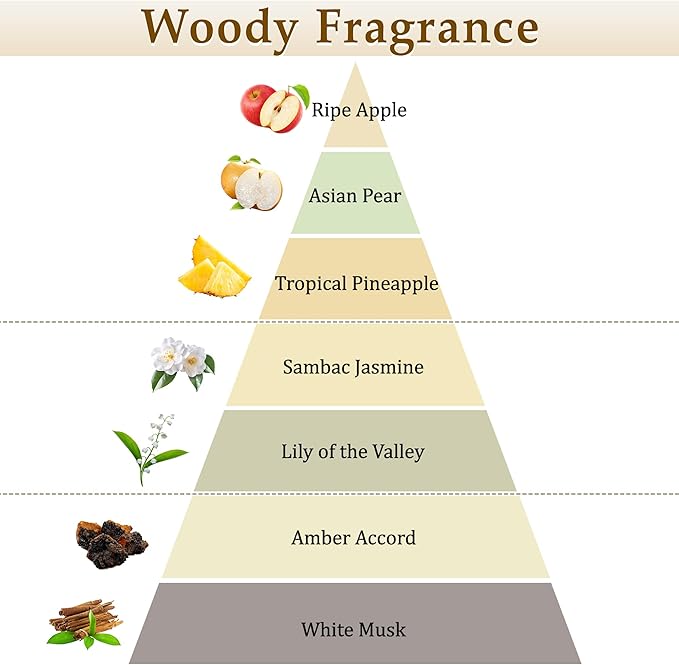 XEPTLE White Musk Reed Diffuser Apple Pear Jasmine with Musk &amp Ambergris Home Fragrance Diffuser with 5 Reeds Air Freshener for Bedroom Living Room Bathroom Décor 7.04oz White