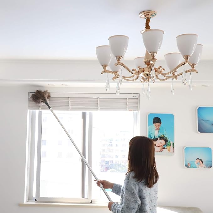 Gray Ostrich Feather Duster with 71Inch PoleExtendable Microfiber Duster for Home Cleaning