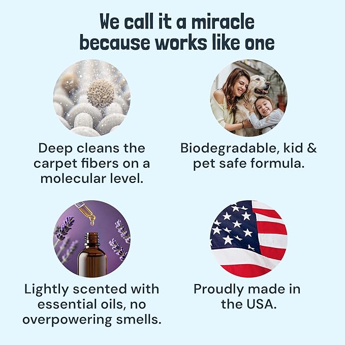 Sunny &amp Honey Carpet Cleaner Solution - Deep Stain Remover &amp Odor Deodorizer - Pet Carpet Cleaner &amp Rug Shampoo (32 Fl Oz Light Lavender)