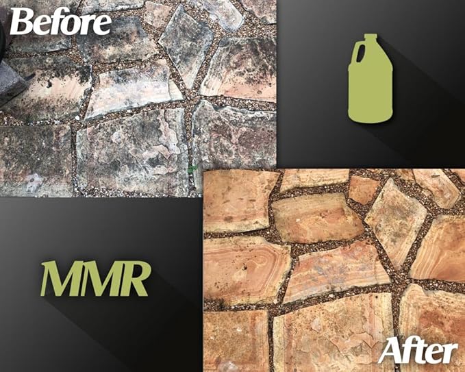 Bad Axe MMR Instant Mold Stain and Mildew Stain Remover - Professional Strength Contractor Grade Cleaning Solution Professional Quality Formula Odor Removal 1 Gallon (1)