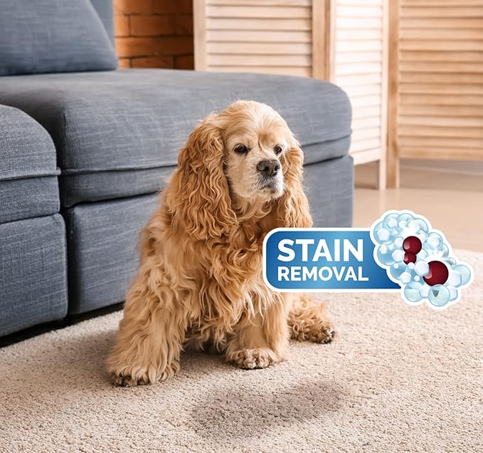 Pat's Spot + Stain Remover Professional Carpet Fabric and Upholstery Cleaner 32oz (Pack of 4) | 40+ Years Carpet Cleaning Experts