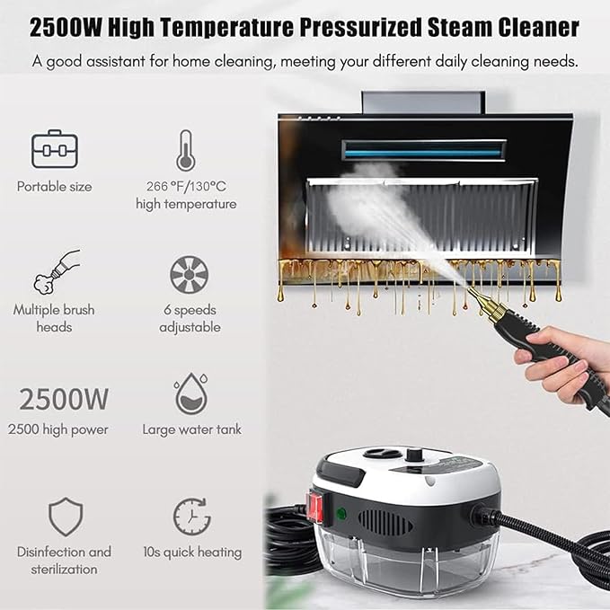 Handheld Steam Cleaner 2500W High Temperature Pressurized Steam Cleaner for Home Use Fast Heating Portable Steamer Cleaning Machine with 3 Brush Heads for Kitchen Car Detailing