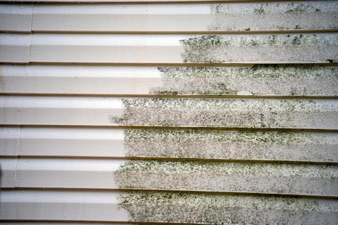 Armor MSC100 Gentle Cleaner for Concrete Pavers Stone Gutters Siding and More!