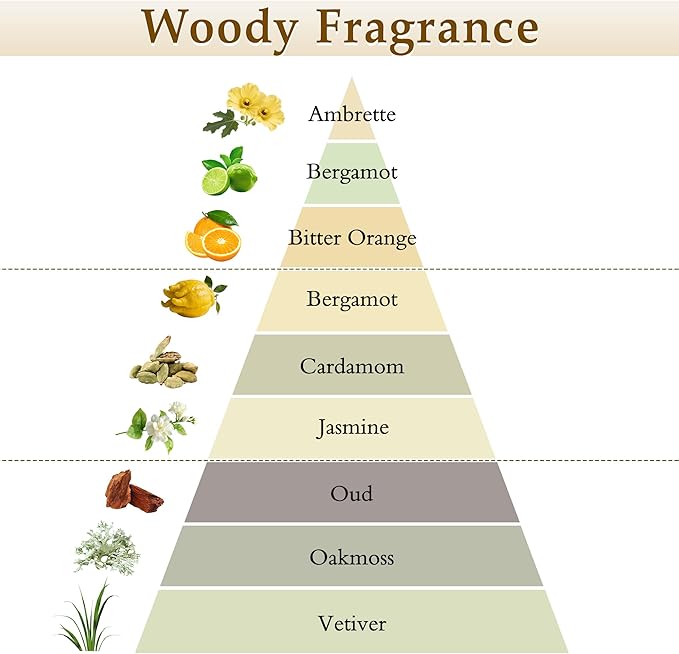 XEPTLE Reed Diffuser Set 7.04 oz Oud &amp Bergamot Scent Diffuser with 5 Sticks Long Lasting Air Freshener Essential Oil Reed Diffuser for Home Home Fragrance for Office Bathroom Shelf Decor Bl