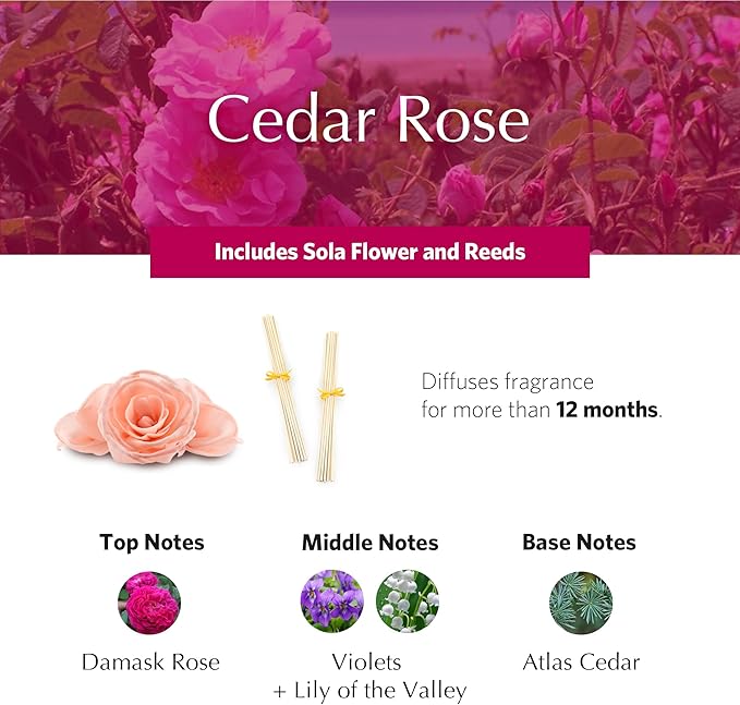 AGRARIA AirEssence Flower and Reed Diffuser Set Handmade Sola Flower Botanical Home Fragrance Set Scented Oil Reed Diffuser Gift for All Occasions