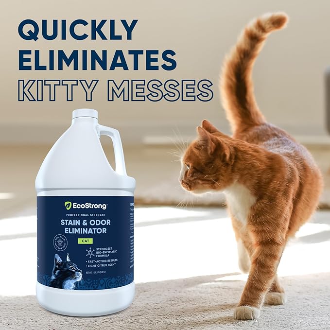 Eco Strong Cat Stain And Odor Remover| Enzyme Urine Odor Neutralizer - Stain Remover for Carpet Litter Boxes Bedding and Laundry [Citrus Scent Gallon Value Size]