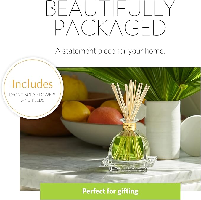 AGRARIA AirEssence Flower and Reed Diffuser Set Handmade Sola Flower Botanical Home Fragrance Set Scented Oil Reed Diffuser Gift for All Occasions