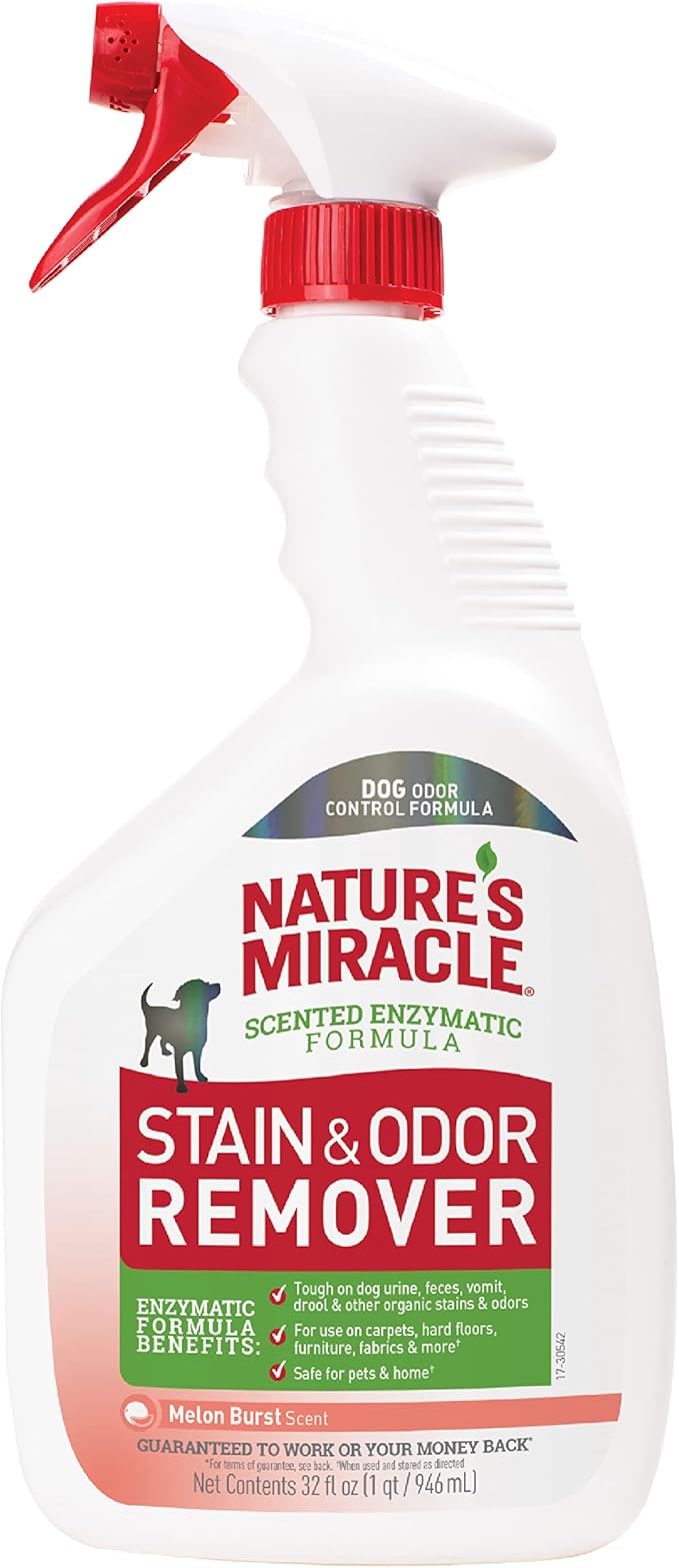 Nature's Miracle Dog Stain and Odor Remover Everyday Mess Enzymatic Formula Melon Burst Scent 32 oz
