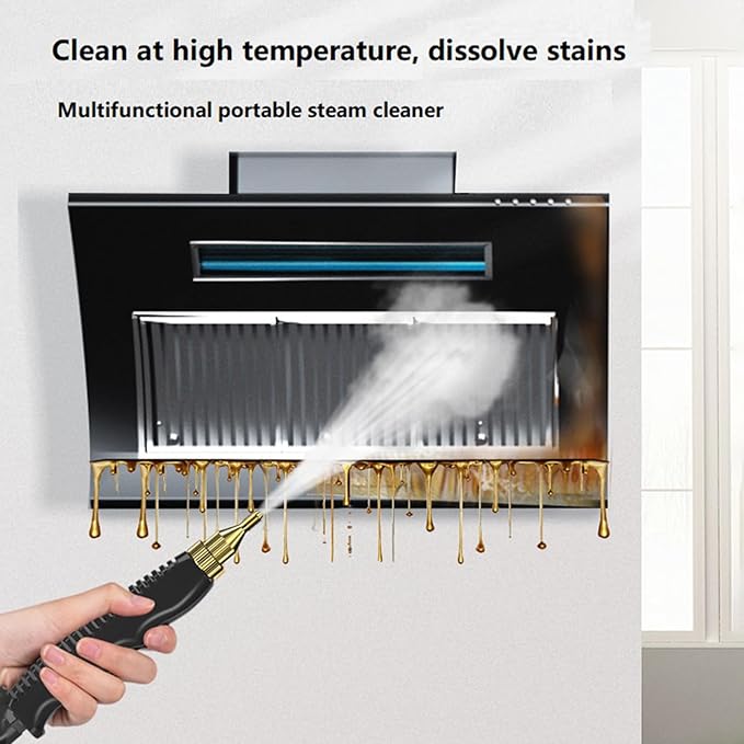 Steam er 2500W 220V Portable High Pressure Handheld Steaming er for to Detailing Air Conditioner Kitchen Hood Refrigerator ing US Plug