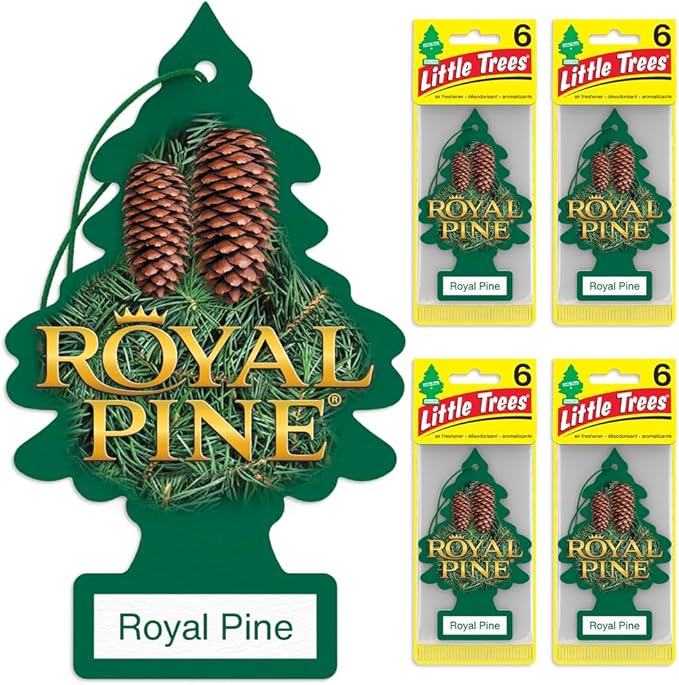 LITTLE TREES Air Fresheners Car Air Freshener. Hanging Tree Provides Long Lasting Scent for Auto or Home. Royal Pine 24 Air Fresheners (Pack of 6)
