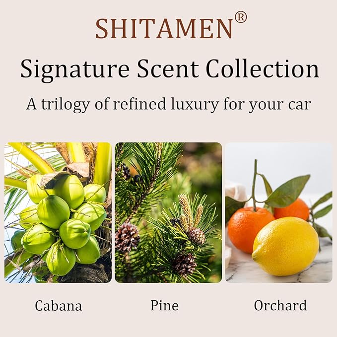 Car Air Freshener Stone Air Freshener Automotive Odor Eliminator for Visor Clip- Car Fresheners Long Lasting - Variety 3 Pack - CLIP INCLUDED (Cabana-Pine-Orchard)