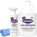 FOLEX 32 oz Instant Carpet Spot Remover Carpet Cleaner with Reusable Cleaning Cloth - Removes Pet Accidents Grease Red Wine and More (1 Pack + Refill)