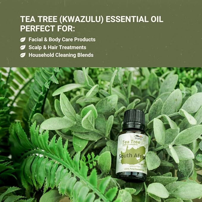 Tea Tree Essential Oil - Direct from Kwazulu Botanicals South Africa - Steam Distilled - Aceite Esencial de Árbol de Té for Aromatherapy Diffuser DIY Candle and Soap Making - 2lbs