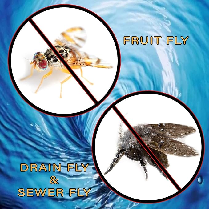 Fruit Fly &amp Drain Fly Killer - Simple Commercial Drain Gel Treatment - Eliminates Gross Fruit Flies Drain Flies Sewer Flies &amp Gnat Infestations From Any Drain. Fast &amp Easy - (128 Oz Cas