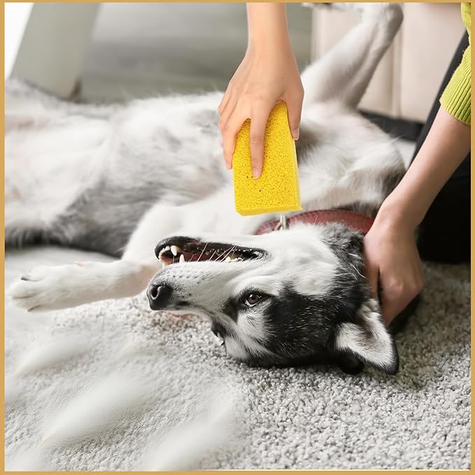 8 Pack Pet Hair Lifter Remover Sponge Cat and Dog and Other Pet Hair from Furniture Carpet Bedding and Clothing Removal Tool 5.91 x 2.76 x 1.57 Inches