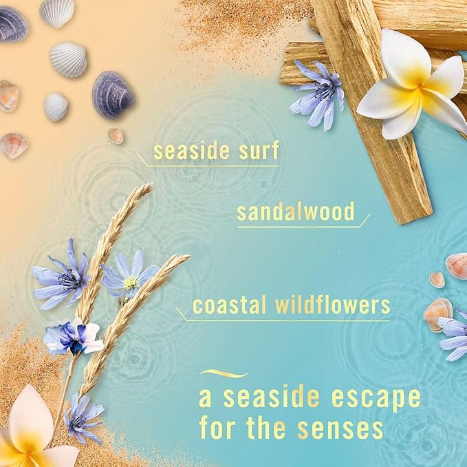 Air Mist Spray 4-Pack Summer Berry Apple Mango Ocean Breeze Morning Spring Scents Air Freshener