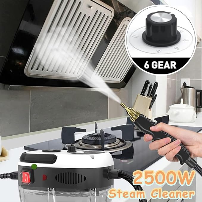 Handheld Steam Cleaner 2500W High Temperature Pressurized Steam Cleaner for Home Use Fast Heating Portable Steamer Cleaning Machine with 3 Brush Heads for Kitchen Car Detailing