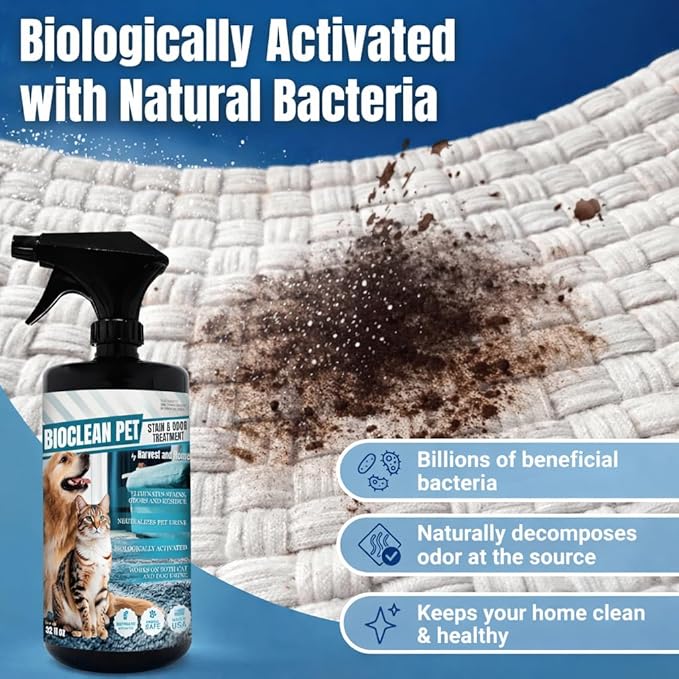 Bioclean Pet Carpet Cleaner &amp Deodorizer – Eliminates Pet Urine Smell Stain &amp Odor Remover No Residue Made in USA – 32oz