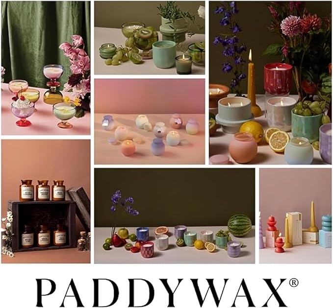 Paddywax Artisan Apothecary Scented Candle with Lid in Reusable Glass Jar Clean-Burn Soy Candle with Approx. 54 Hour Burn Time Pumpkin &amp Spice 8 oz.