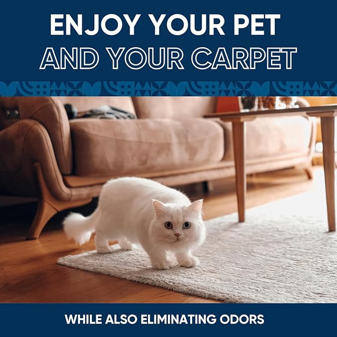 Oxy Pet Carpet Cleaner Spray | Pet Stain Remover for Pet Urine Cat Pee Dog Poop | Deep Spot Treating Action on Carpeting Upholstery Laundry Pet Beds &amp More (128 Fl Oz)