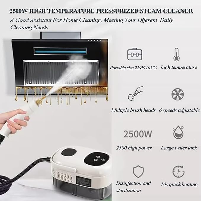 Handheld Steam Cleaner 2500W High Temperature Steamer for Car Detailing Couch Windows Kitchen Bathroom Home(Style1)