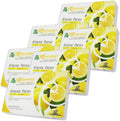 Auto Dynasty TreeFrog Xtreme Fresh Under-The-Car Natural Air Freshener Lemon Scented Pack of 6