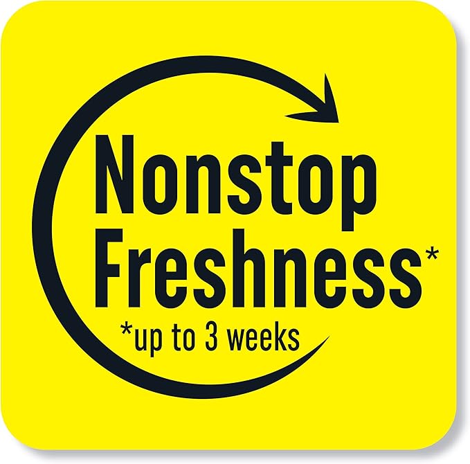 Renuzit Gel Air Freshener Forever Raspberry 12 Count