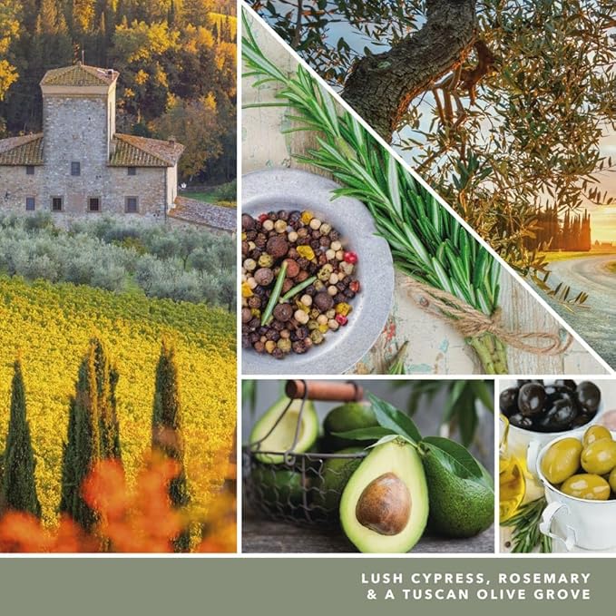 Yankee Candle Scent Plug Refill Hello Italy Collection Olive &amp Cypress (Pack of 4)