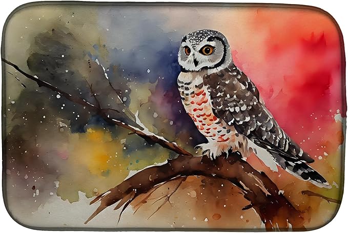 Caroline's Treasures DAC3243DDM Northern Hawk Owl Dish Drying Mat Absorbent Dish Drying Mat Pad for Kitchen Counter Dish Drainer Mat for Countertop 14 x 21 Multicolor