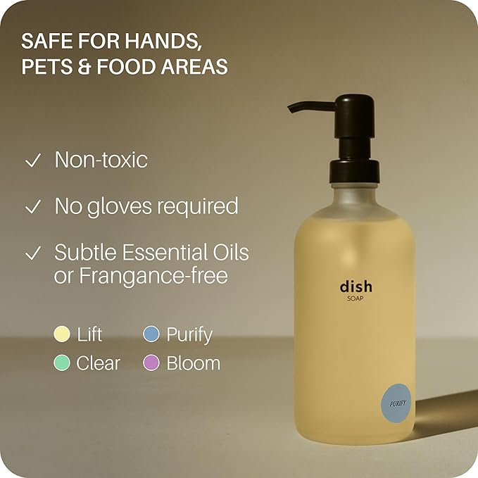 Everneat Concentrated Dish Soap - Purify | Eucalyptus Peppermint Tea Tree &amp Lemon Scent | Plant-Based Formula | Eco-Friendly Refillable Glass Bottle