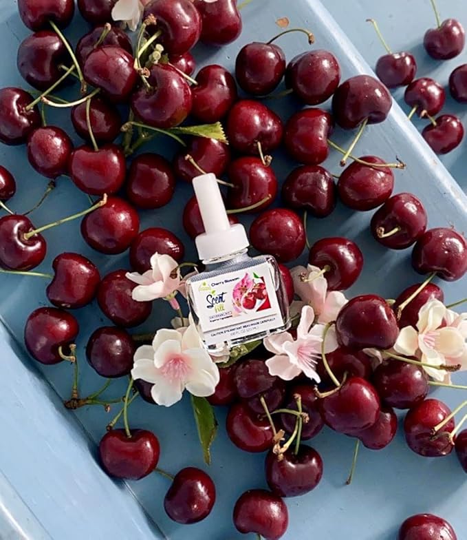 Scent Fill Cherry Blossom Plug in Air Freshener 4 Scented Oil Refills
