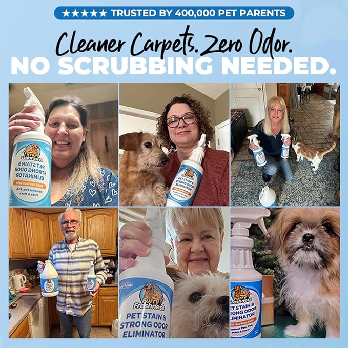 FurryFreshness Extra Strength Cat or Dog Pee Stain &amp Permanent Odor Remover + Smell Eliminator -Removes Stains from Pets &amp Kids Including Urine or Blood- Lifts Old Carpet Stains- (Gallon)