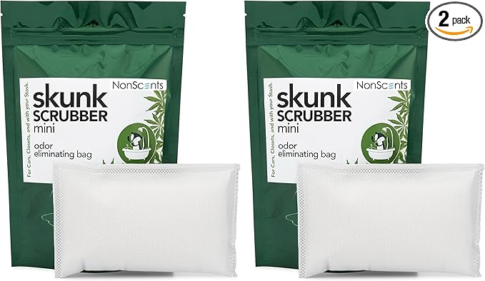 NonScents Smoke Odor Eliminator Bag &amp Air Freshener for Cars and Small Spaces (Pack of 2)