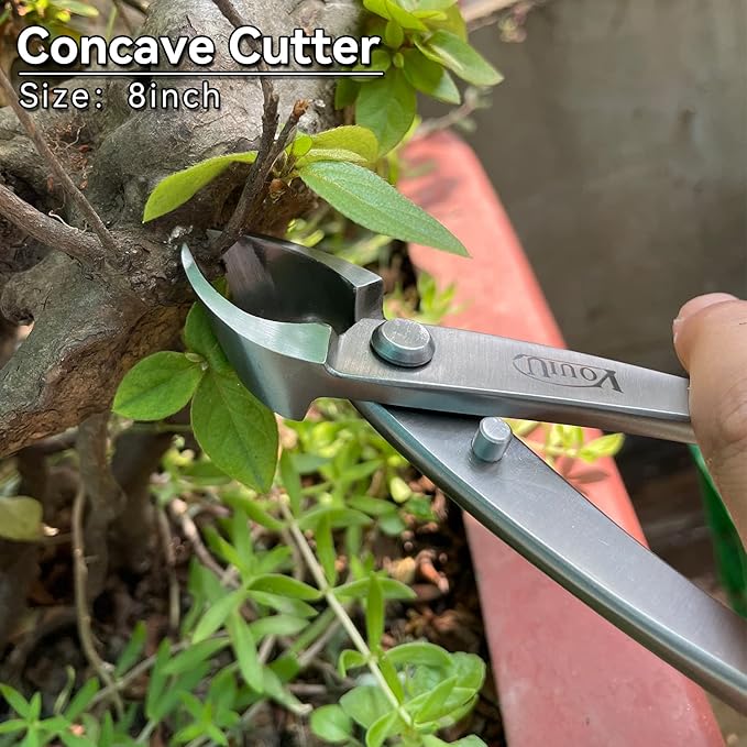 6-Piece Bonsai Tool SetConcave CutterKnob CutterJin PliersWire CutterBonsai Scissors Root Hook