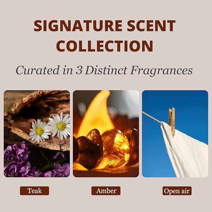 Car Air Freshener - Stone Air Freshener - Car Odor Eliminator for Visor Clip- Natural Scent Starter Kit Vehicle Scent Diffuser for Cabin Truck &amp SUV-Pack of 3 (Teak-Amber-Open Air)-CLIP INCLUDED