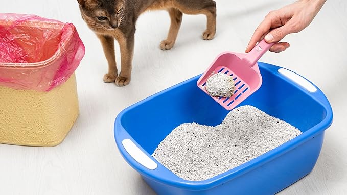 Ultimate Enzyme+ Cleaner – Professional-Grade Odor and Stain Eliminator for Pet Smells Basements Garages and More – Fragrance-Free Powerful Enzyme Formula for Home Use (32 oz)